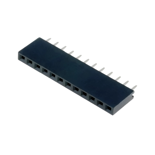DS1023-1x12S21