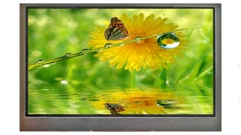TFT-дисплей WF43G