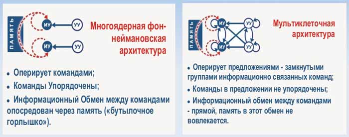 равнение мультиклеточной и многоядерной фоннеймановсктй архитектур