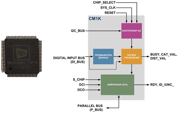 Внешний вид и структура нейропроцессора CM1K от NeuroMem